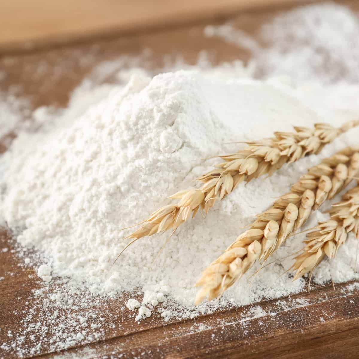 o que é farinha de trigo