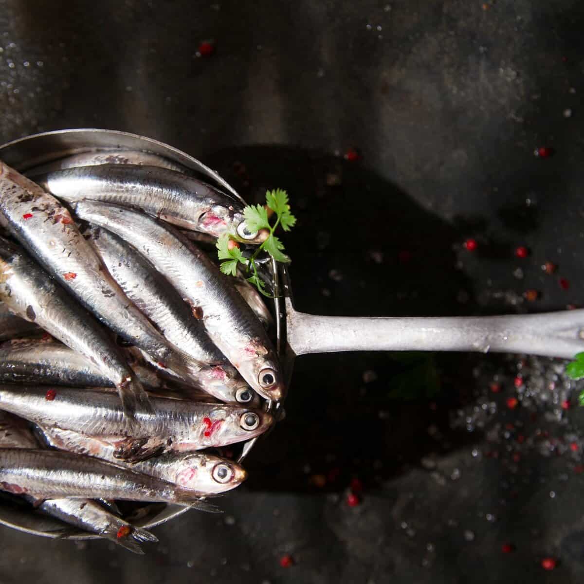 How to cook with anchovies