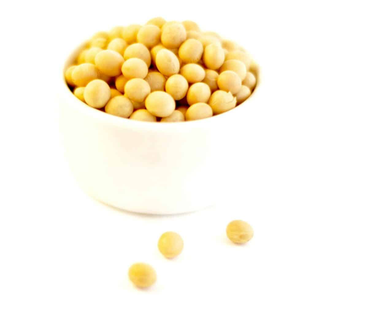 Premium Grade Non-GMO Soybeans Bulk Theko e Ntle (liponto tse 5)