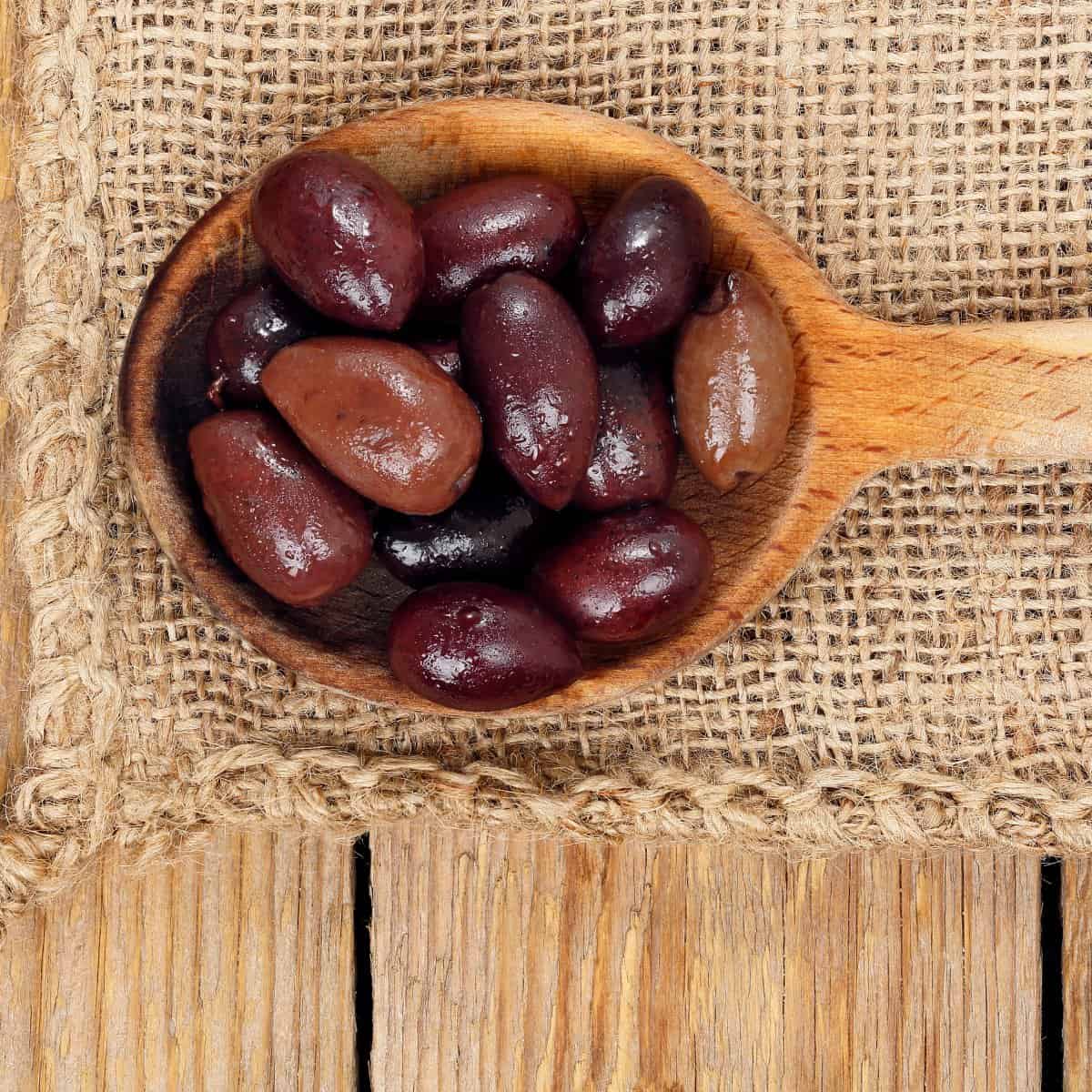 칼라마타 올리브란?