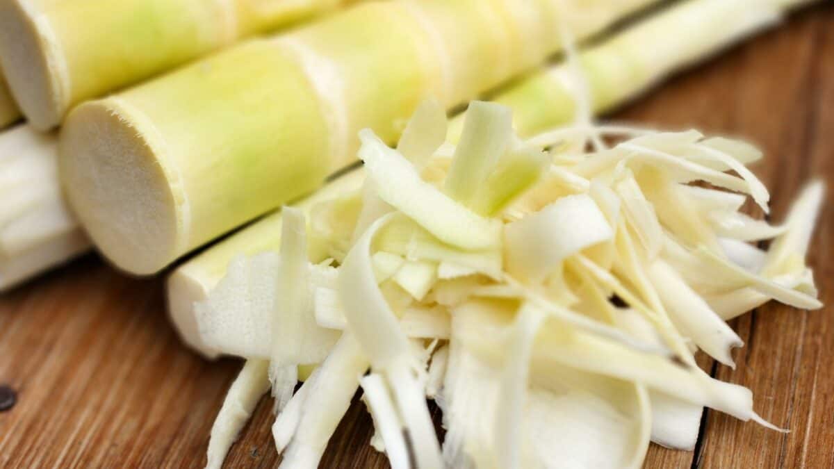 What are bamboo shoots