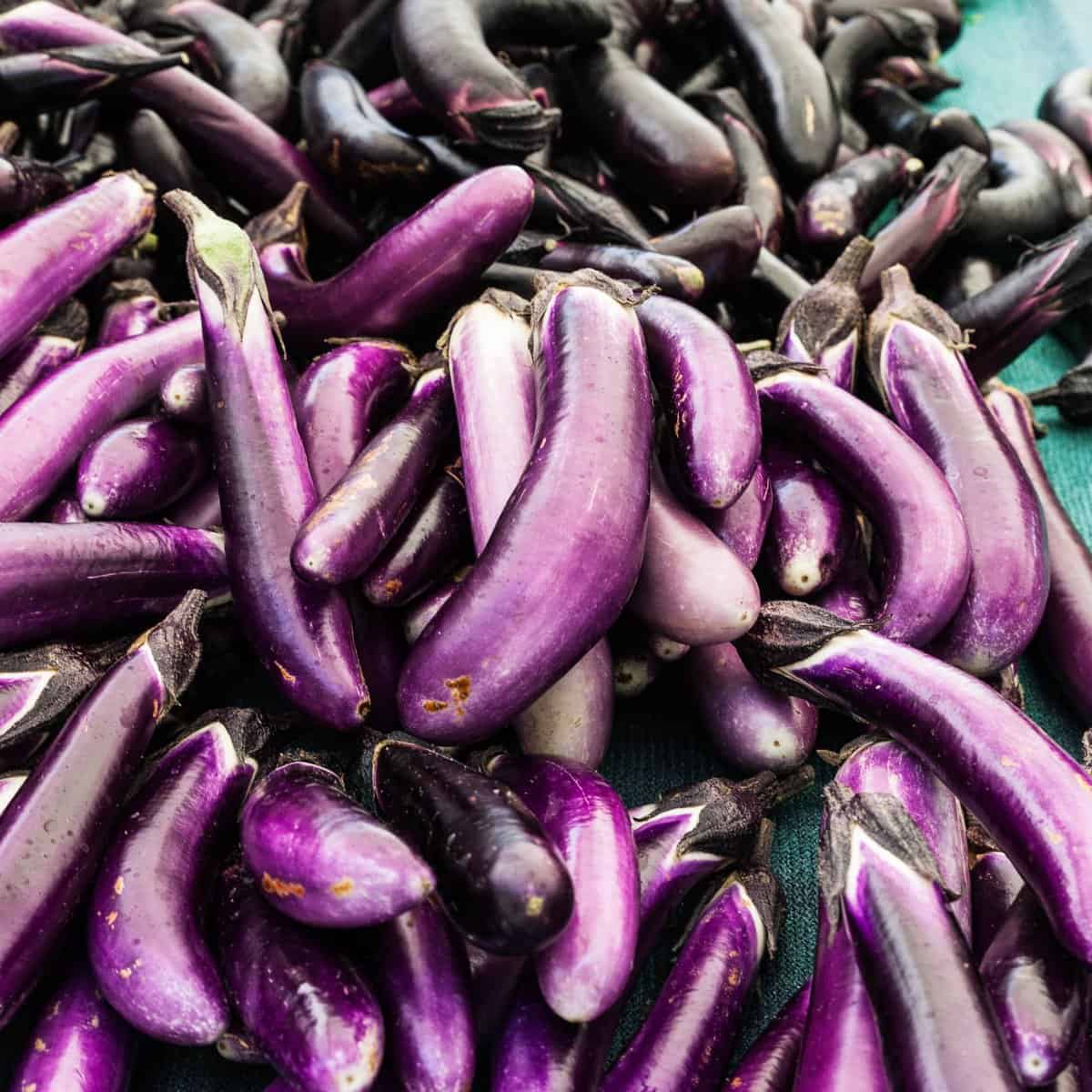 What are eggplants
