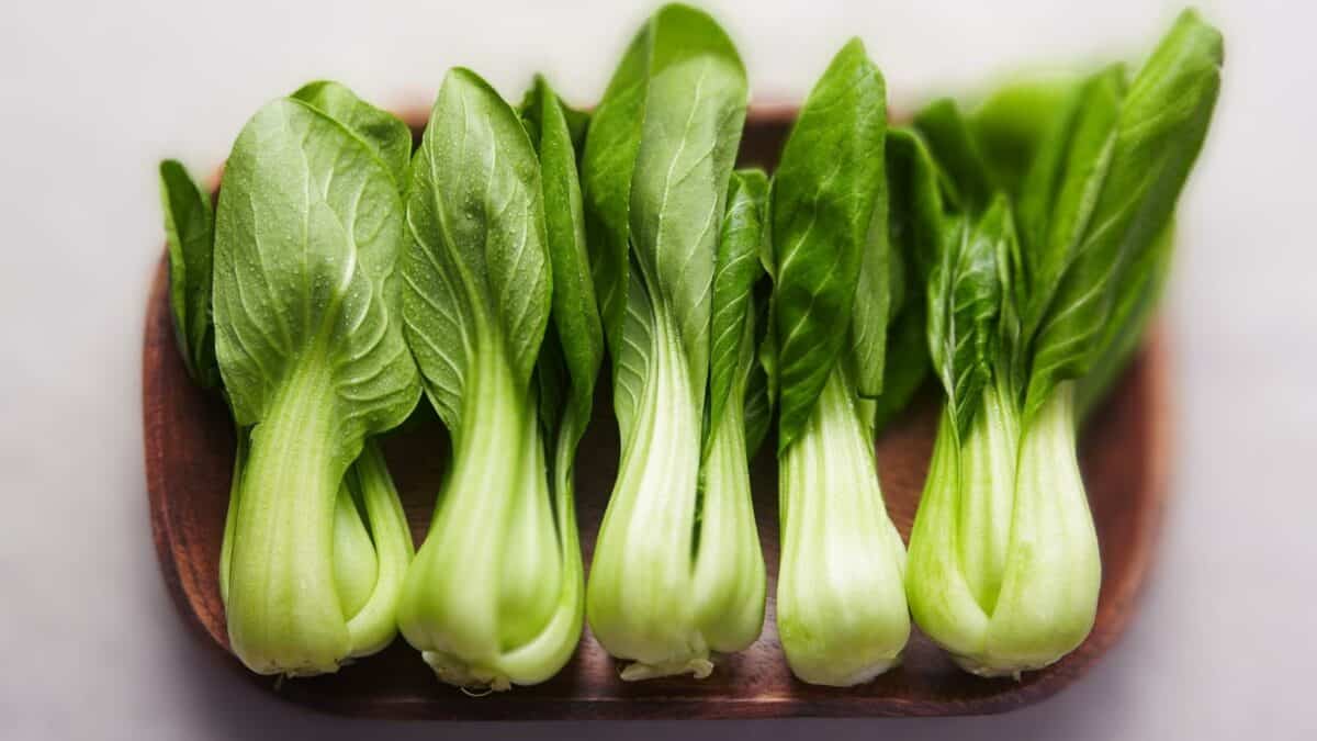 What is bok choy