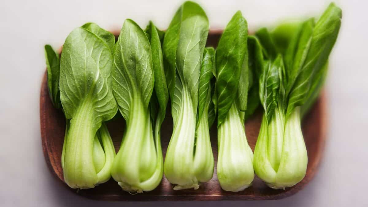 Zer da bok choy