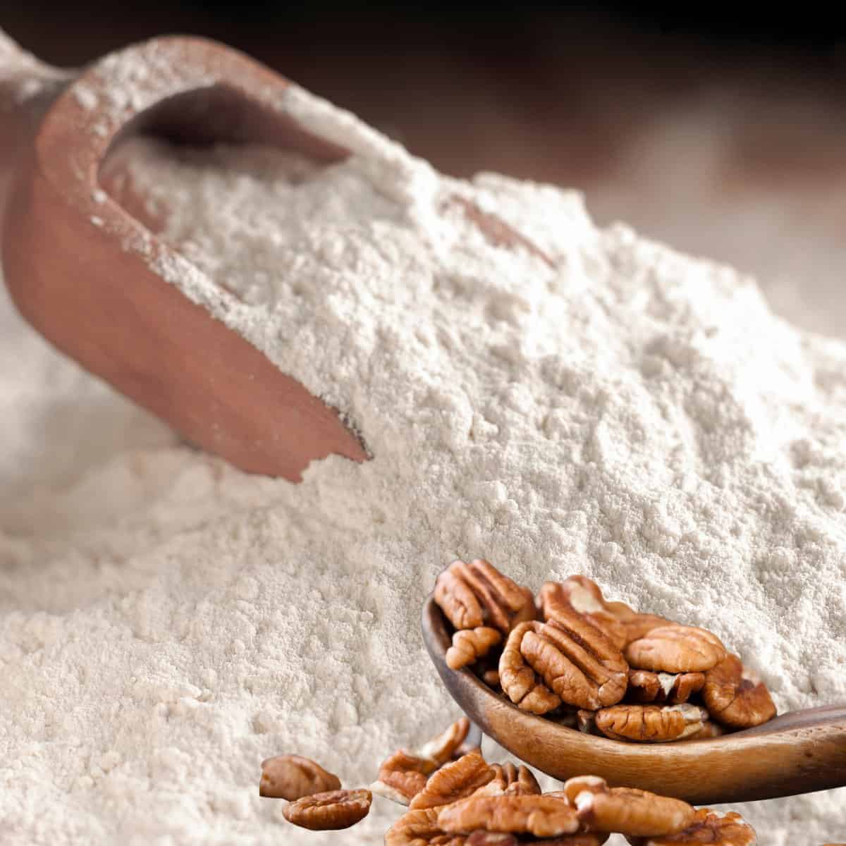 What is pecan flour