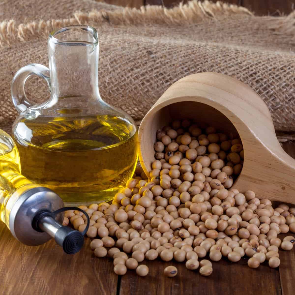 What is soybean oil