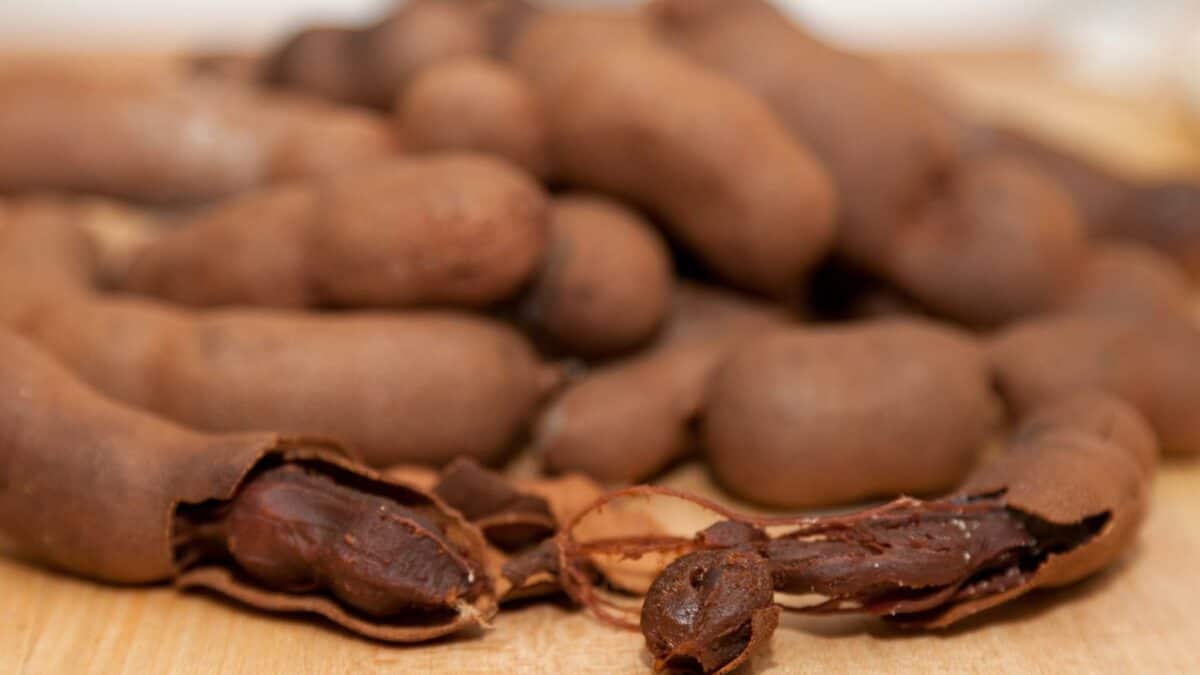 What is tamarind