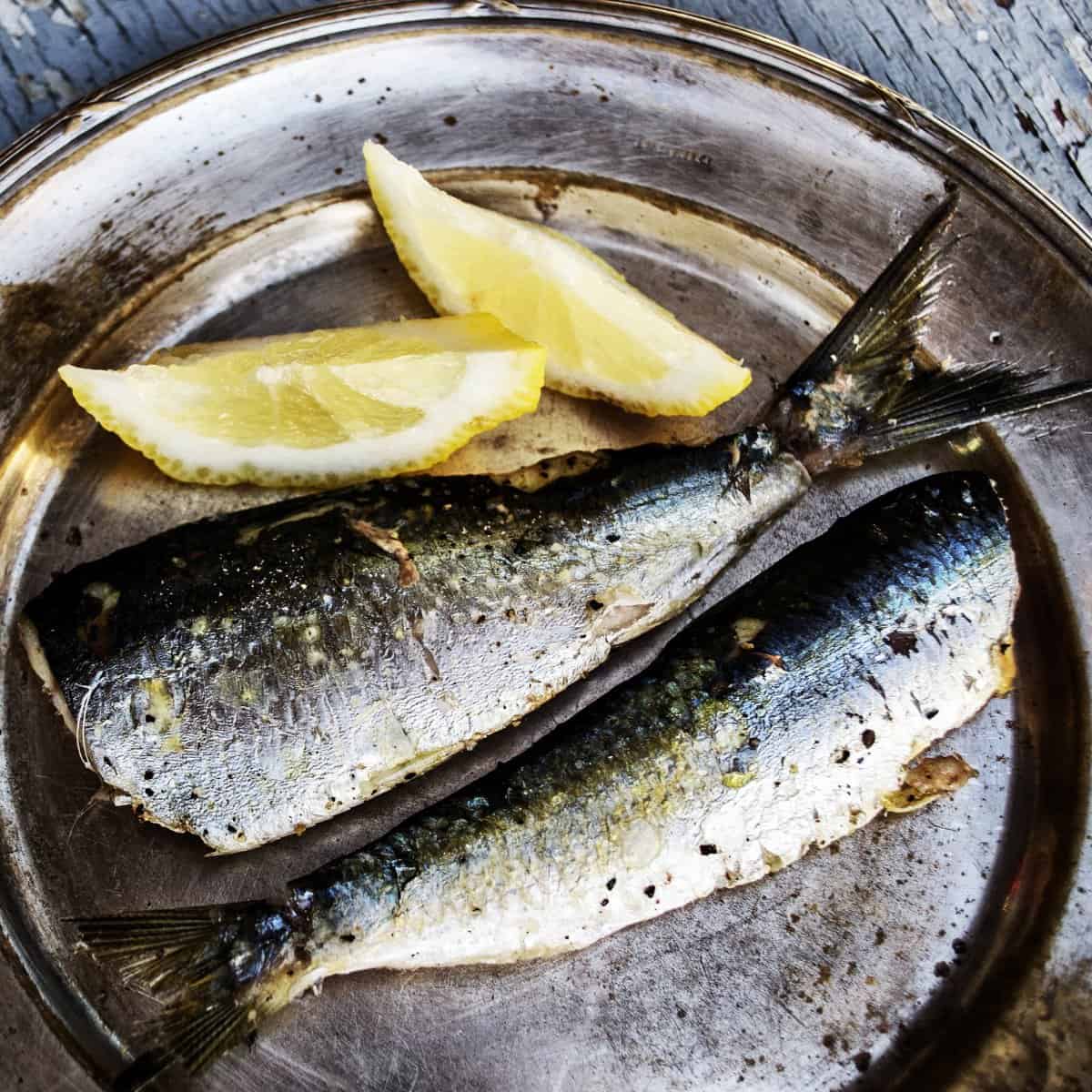 What are sardines