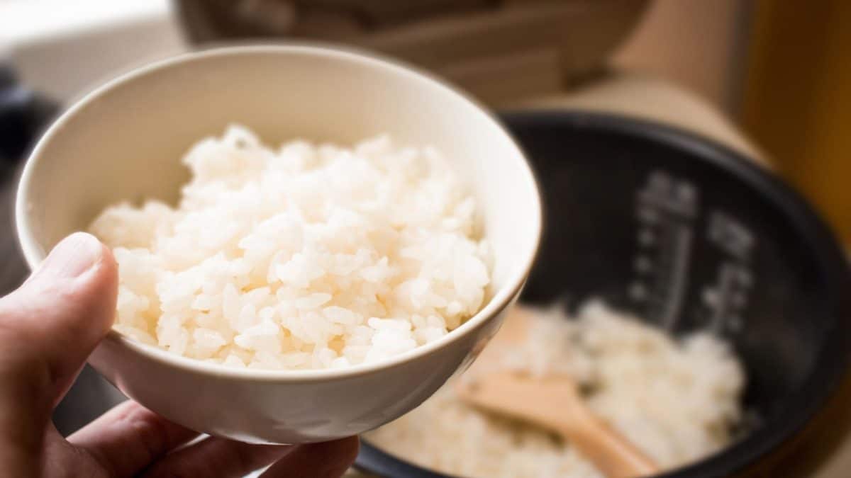 什麼是悟飯