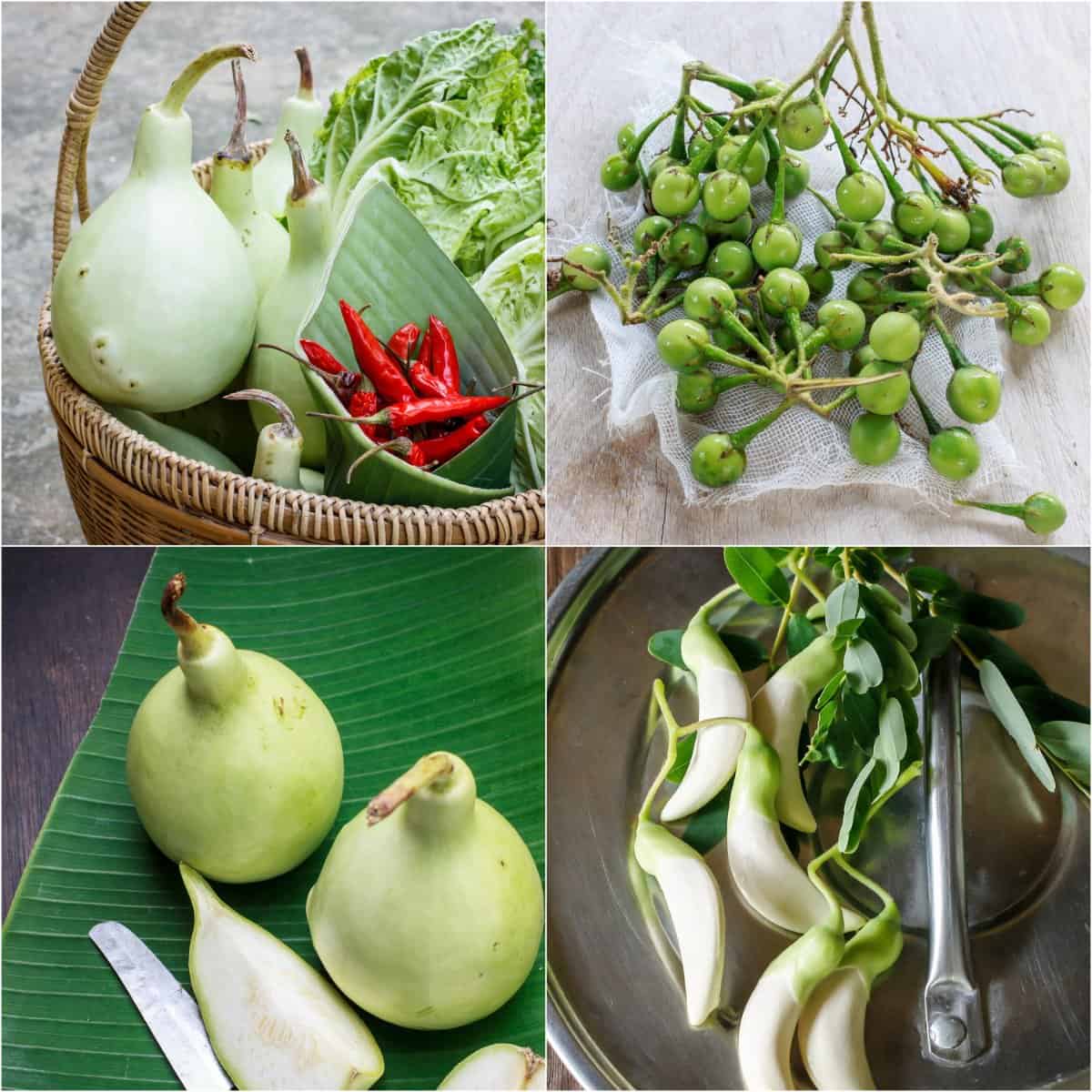 Asian vegetables