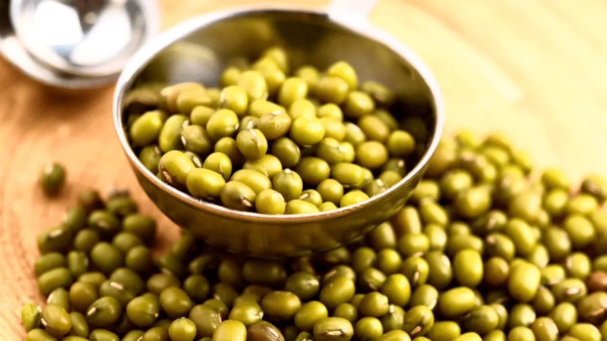 Mung beans- your little green vegan nutrition friends