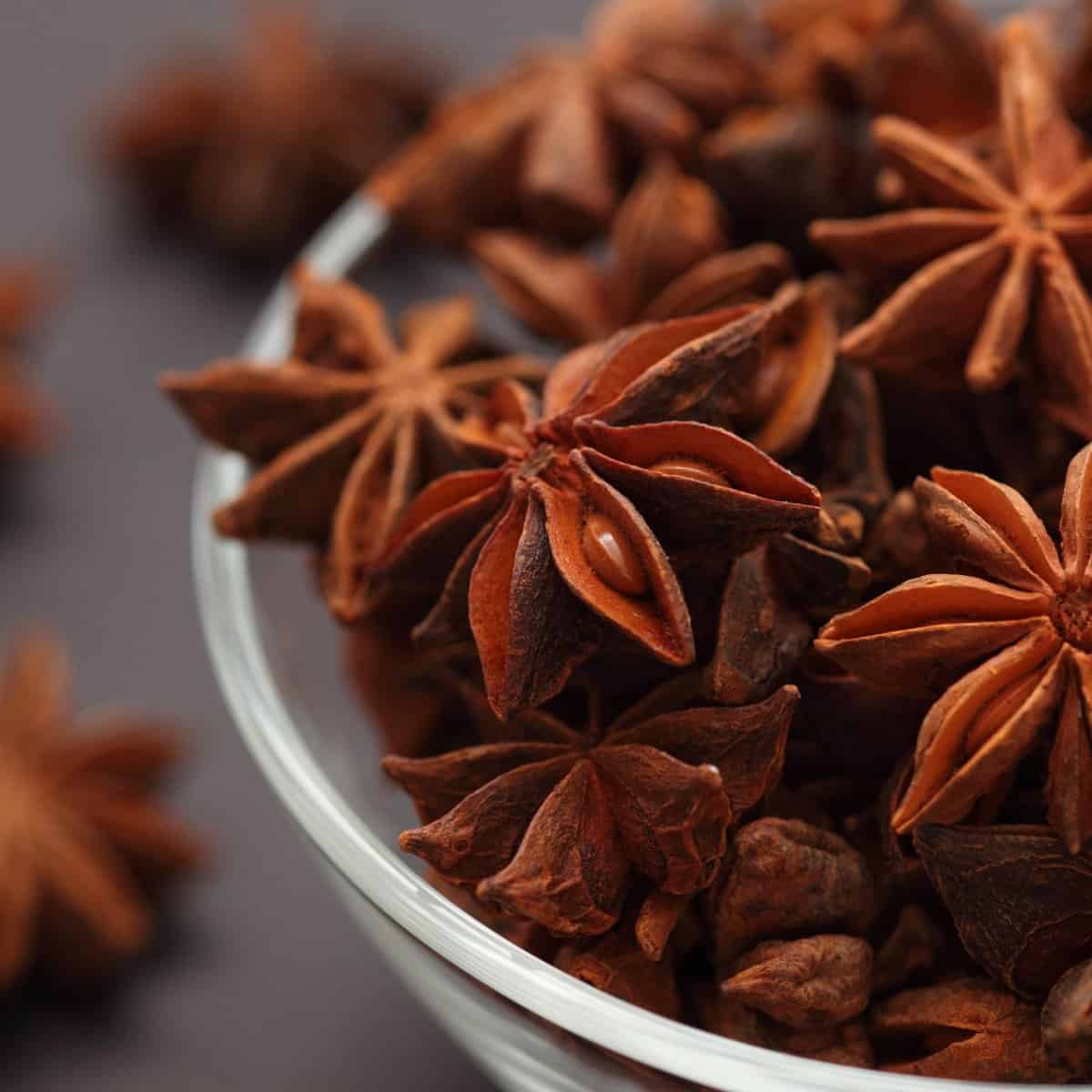 What is star anise