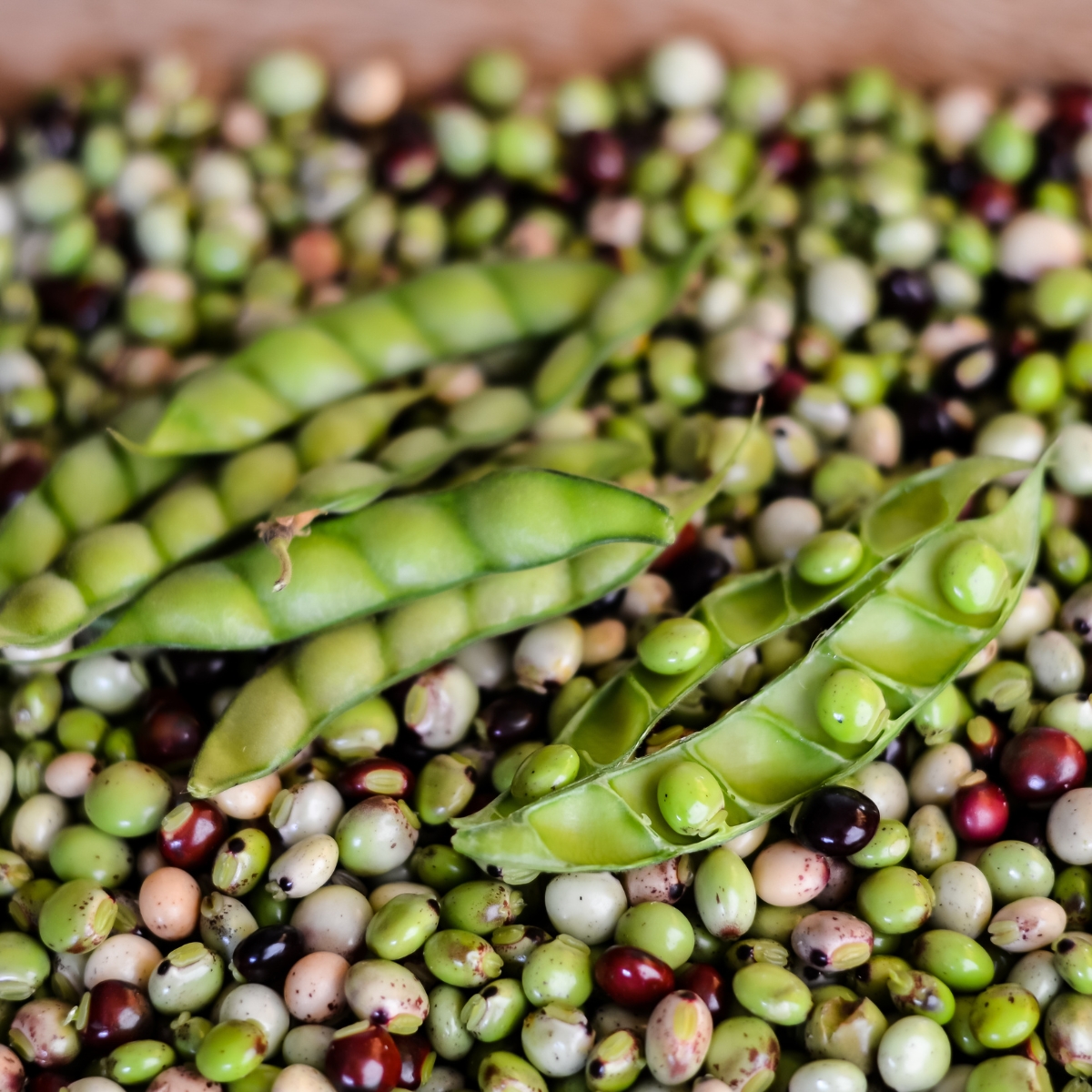 Chì sò i Pigeon Peas