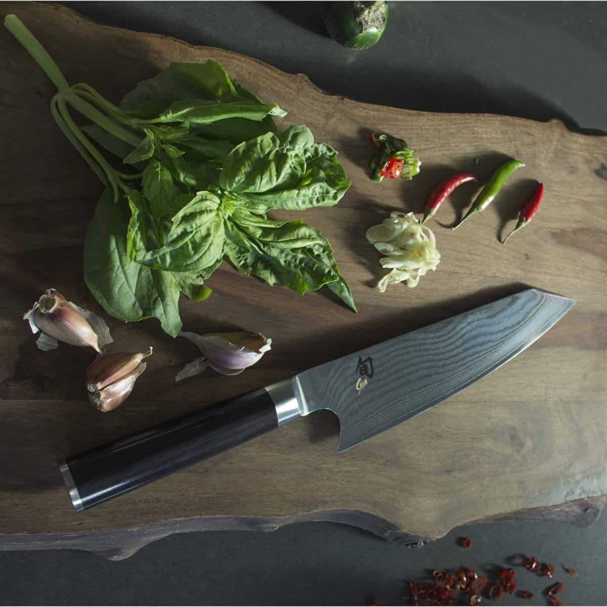 Best kiritsuke knife to buy Shun Master Chefs