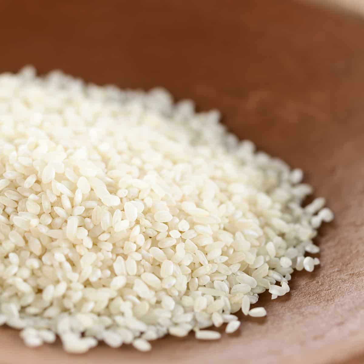 What is short-grain rice