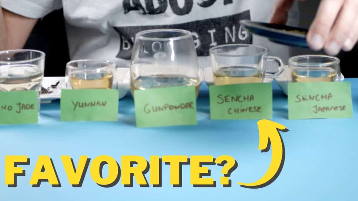 green tea comparison thumbnail