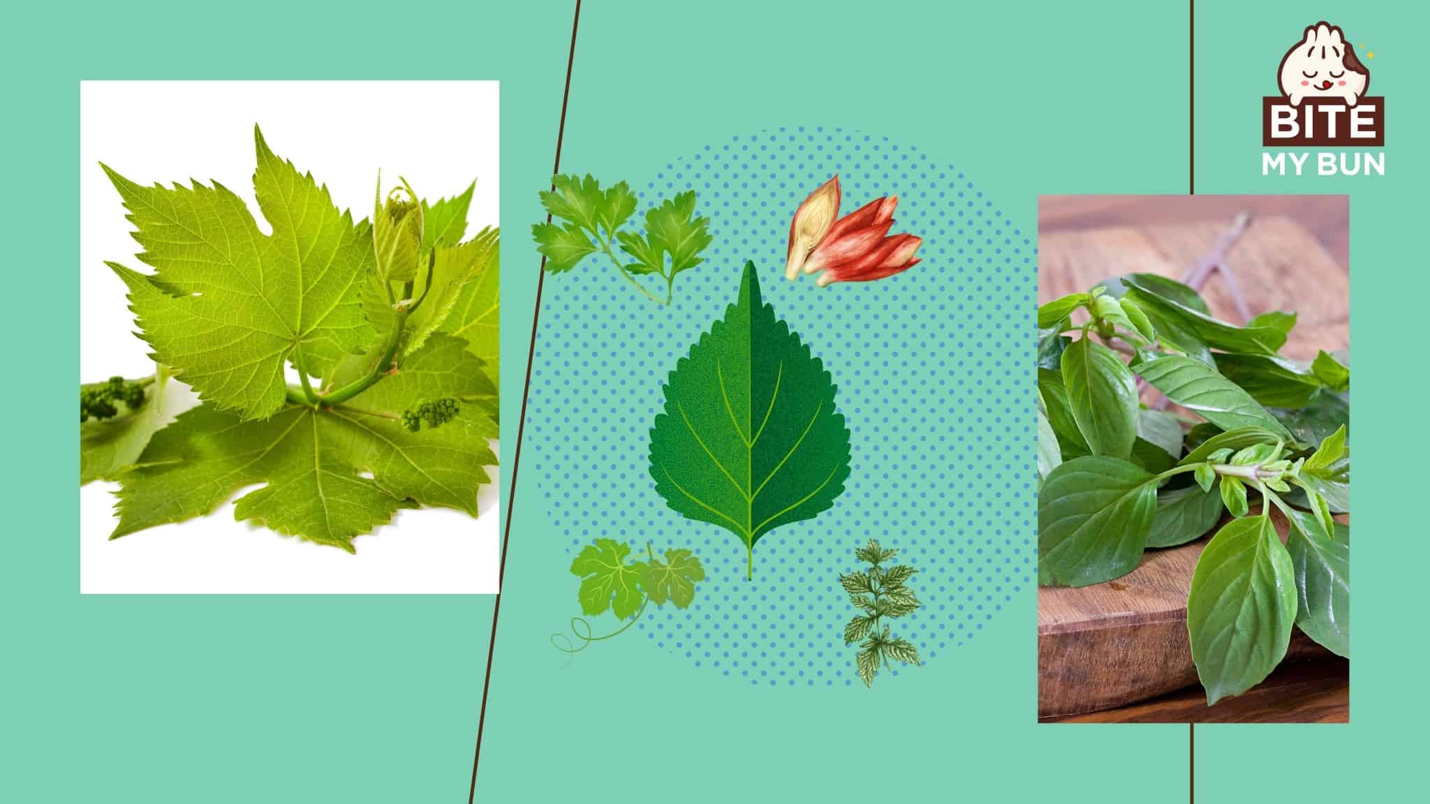 13-best-shiso-substitutes-get-the-flavor-right