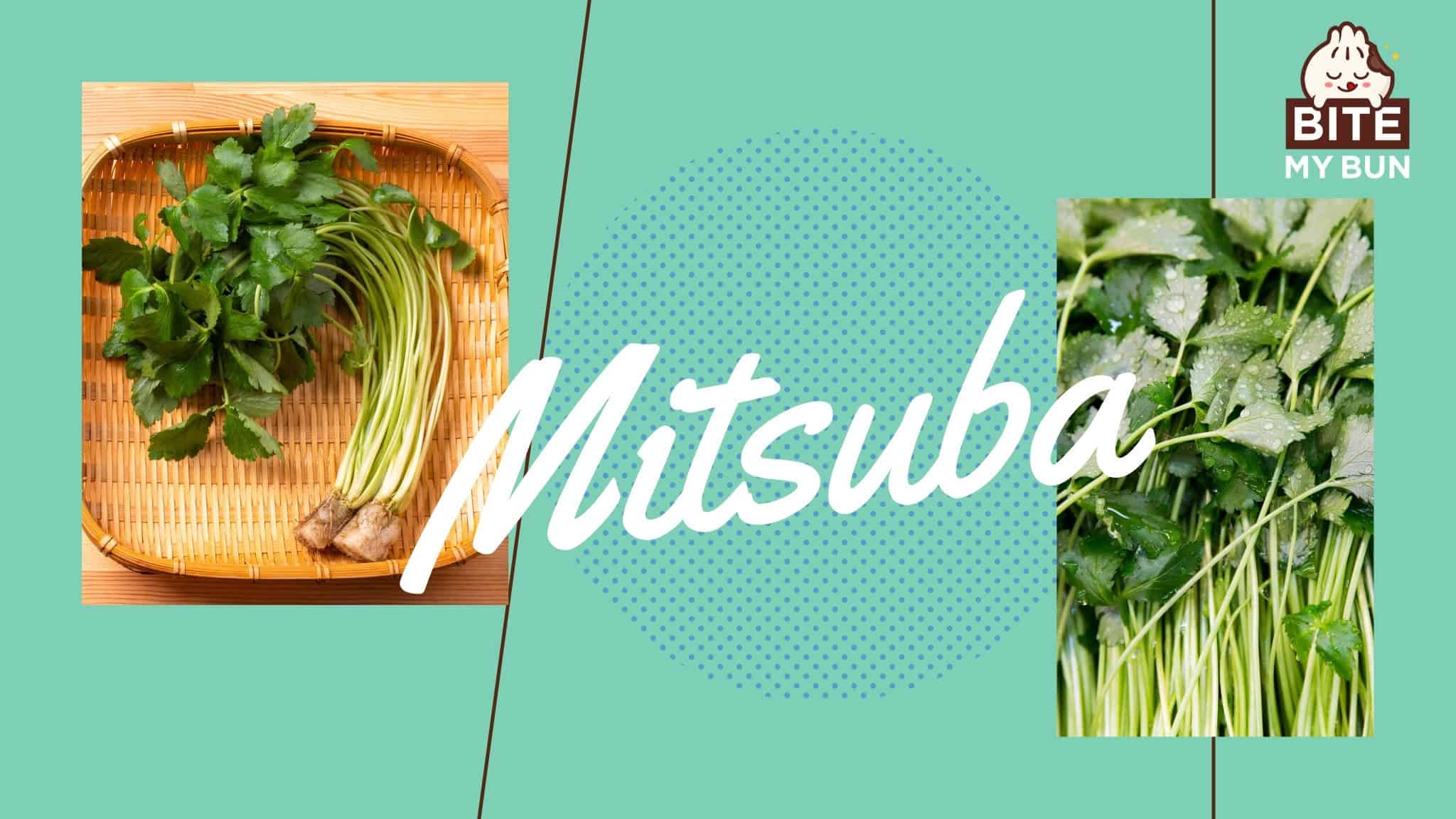 10-recipes-with-mitsuba-get-the-most-out-of-the-herb